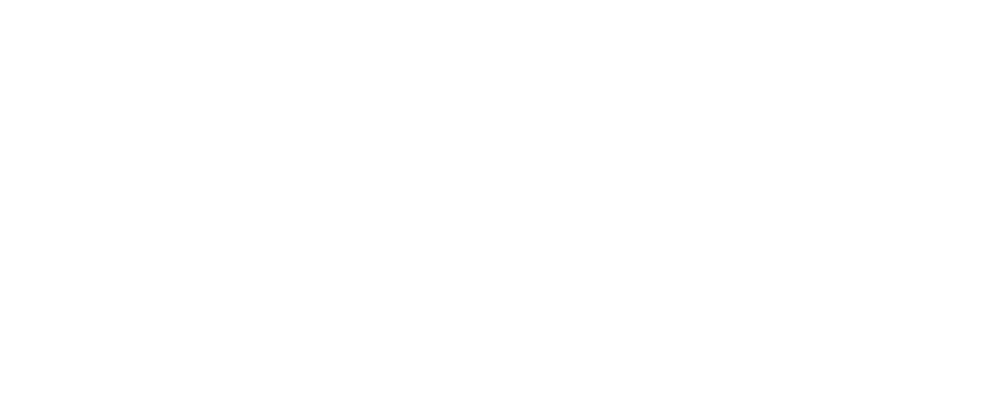 SKYN3T Web Demo